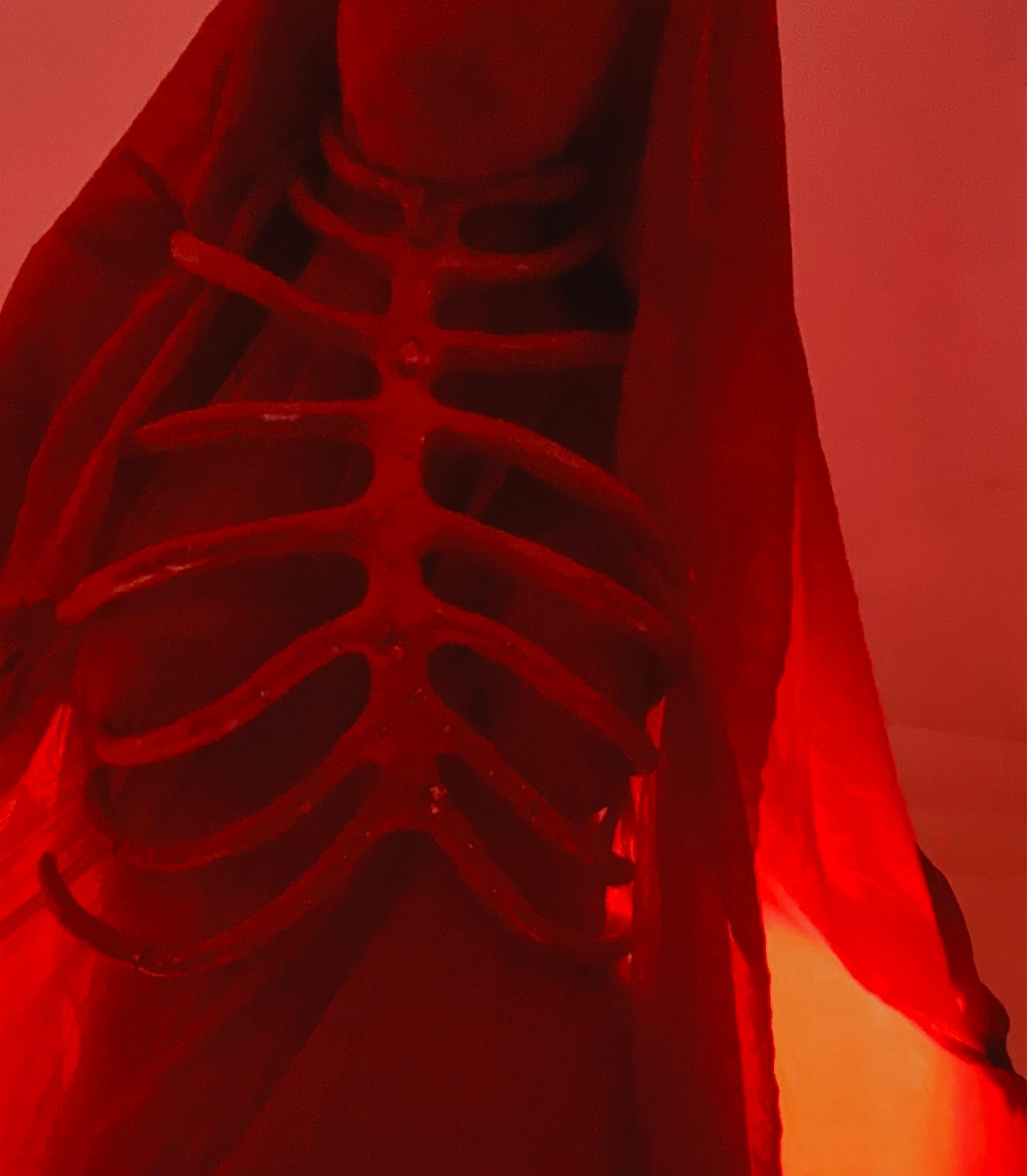 BitchKraft - Skeleton Rib Cages - May 9, 2026