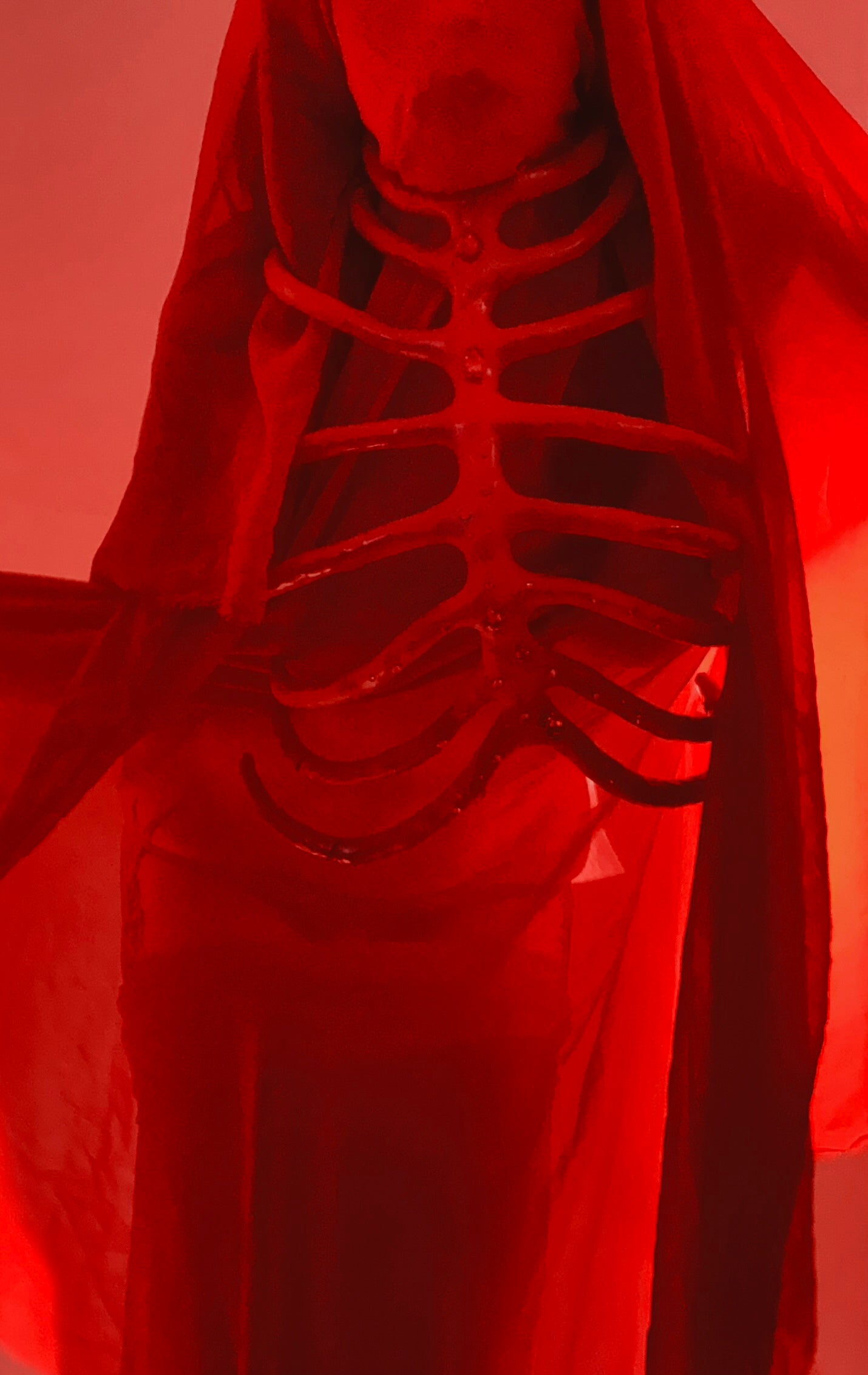 BitchKraft - Skeleton Rib Cages - May 9, 2026